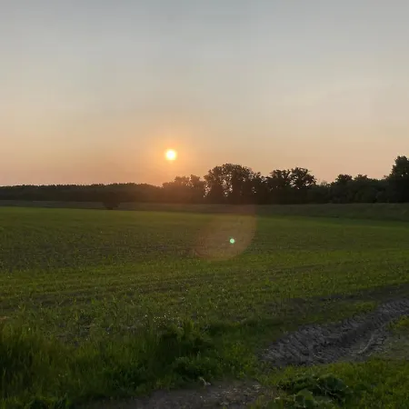 Kancsal Harcsa Panzio Es Halaszcsarda