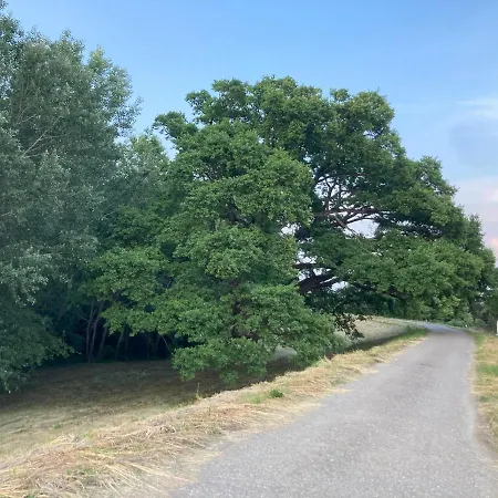 Kancsal Harcsa Panzio Es Halaszcsarda Отель типа 