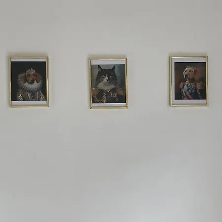 Kancsal Harcsa Panzio Es Halaszcsarda