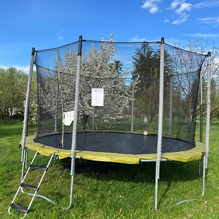 Bed and Breakfast Kancsal Harcsa Panzio Es Halaszcsarda 3*