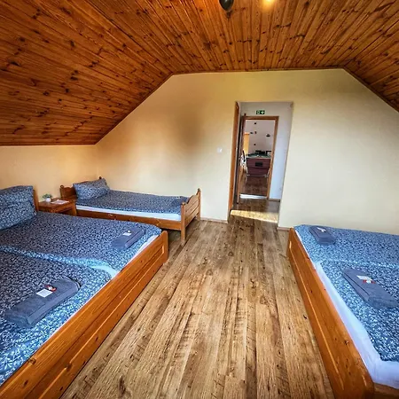 Kancsal Harcsa Panzio Es Halaszcsarda Bed and Breakfast 3*