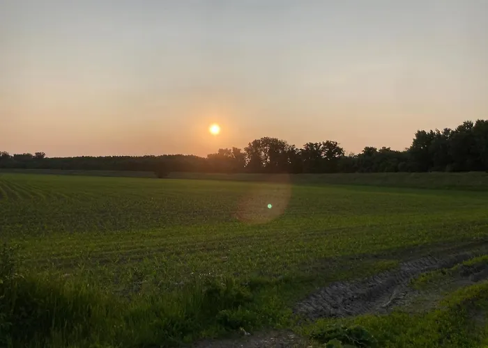 Kancsal Harcsa Panzio Es Halaszcsarda