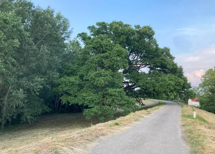 Kancsal Harcsa Panzio Es Halaszcsarda Отель типа 