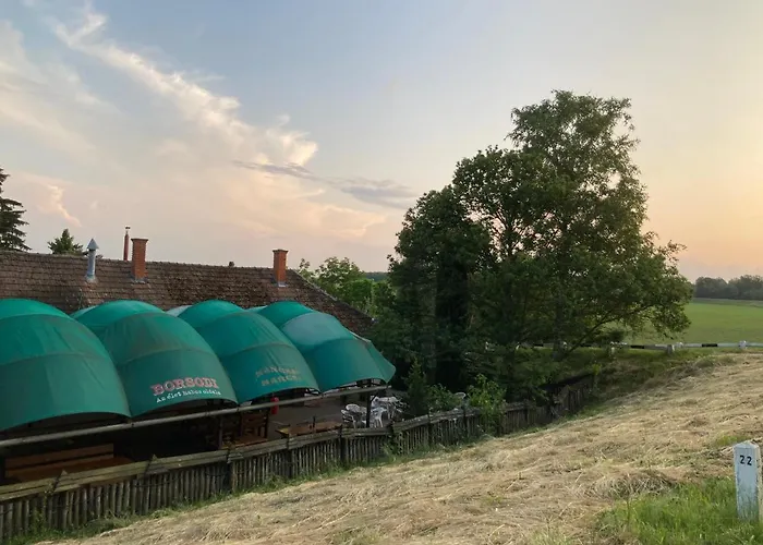 Kancsal Harcsa Panzio Es Halaszcsarda Tiszatelek