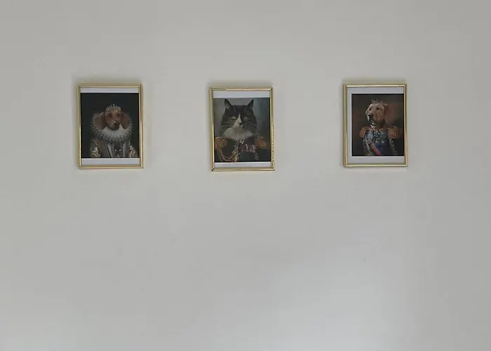 Kancsal Harcsa Panzio Es Halaszcsarda