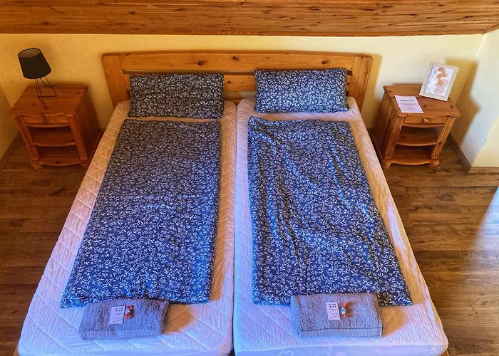 Kancsal Harcsa Panzio Es Halaszcsarda Tiszatelek