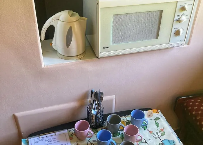 Kancsal Harcsa Panzio Es Halaszcsarda Tiszatelek