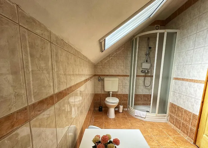 Bed & Breakfast Kancsal Harcsa Panzio Es Halaszcsarda 3*