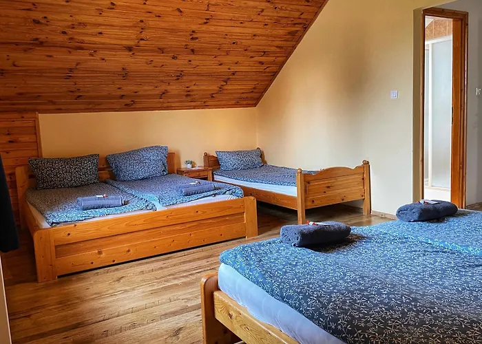 Kancsal Harcsa Panzio Es Halaszcsarda 3*